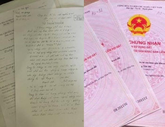 Trường hợp không có tên trong di chúc nhưng vẫn được hưởng thừa kế: Không biết mất quyền lợi