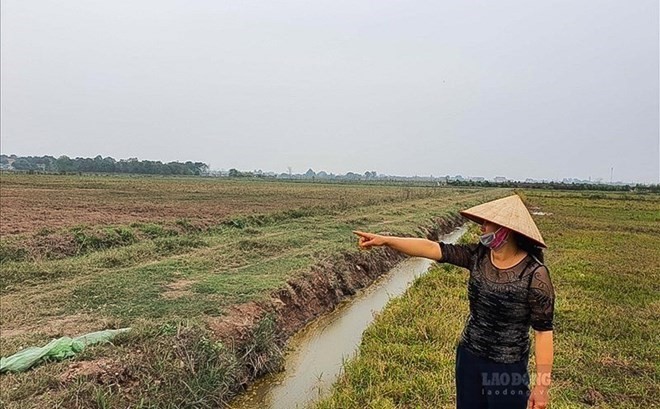 Sổ đỏ đất nông nghiệp hết hạn khi nào
